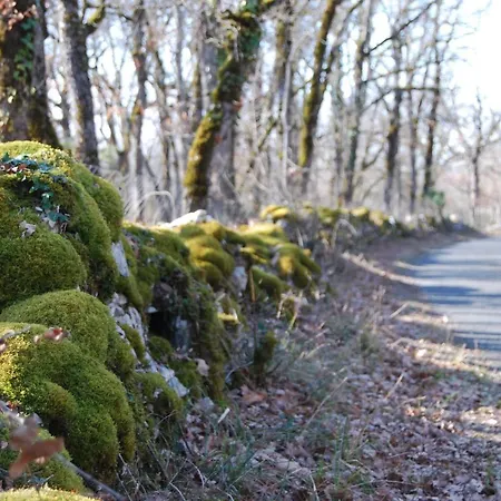 Les Etoiles De - D'hotes De Charme Pres De Rocamadour Bed & Breakfast Cales (Midi-Pyrenees)