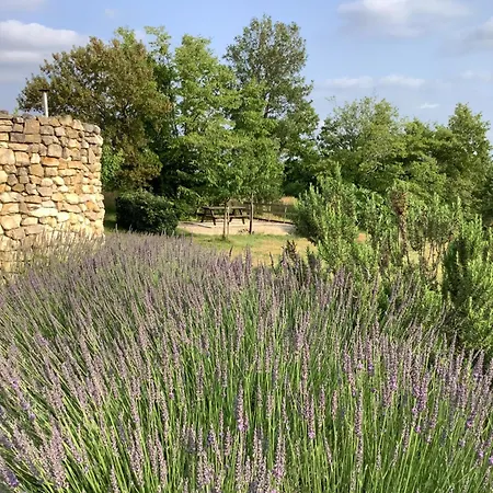 Bed & Breakfast Les Etoiles De - D'hotes De Charme Pres De Rocamadour 4*