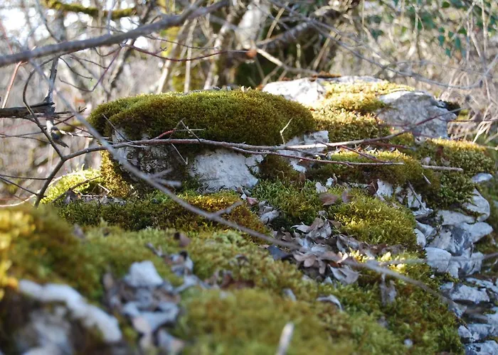 Bed & Breakfast Les Etoiles De - D'hotes De Charme Pres De Rocamadour Au Coeur Du Parc Naturel Des Causses Du Quercy 4*