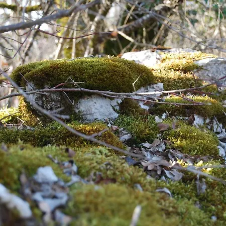 Bed & Breakfast Les Etoiles De - D'hôtes De Charme Près De Rocamadour Au Coeur Du Parc Naturel Des Causses Du Quercy 4*