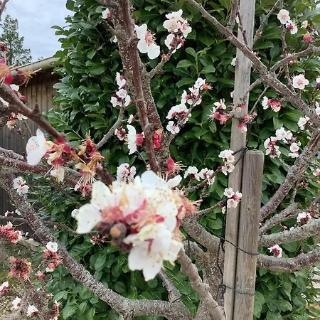 Bed & Breakfast Les Etoiles De - D'hôtes De Charme Près De Rocamadour Au Coeur Du Parc Naturel Des Causses Du Quercy
