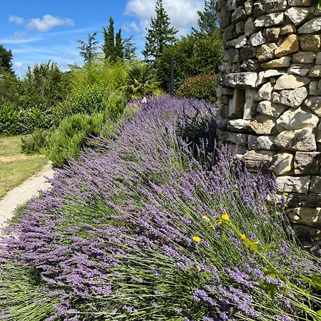 Les Etoiles De - D'hôtes De Charme Près De Rocamadour Au Coeur Du Parc Naturel Des Causses Du Quercy 4* Calès
